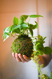 KOKEDAMA with Mel and Emily on 21 June 2025
