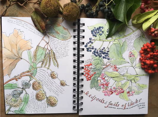 Nature Journalling with Sandra Morris on 22, 23 November 2025